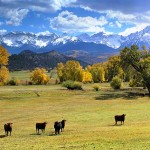 Colorado Land